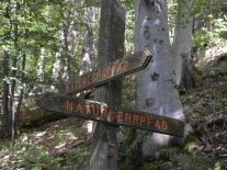 Wildlebensraum-Modellgebiet Feilitzsch